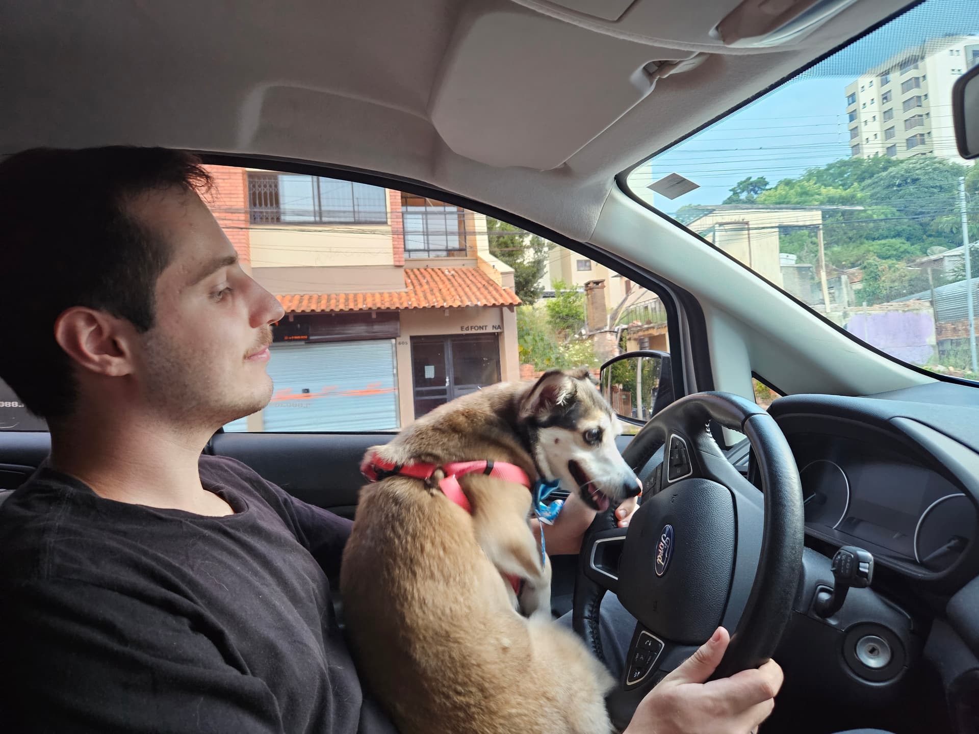 Blanca Aprendendo a Dirigir